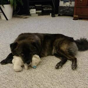 Fundraising Page: Stephanie Meadow